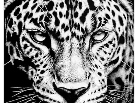 Les Estivales : Au Clair de la plume par Xavier Rolet