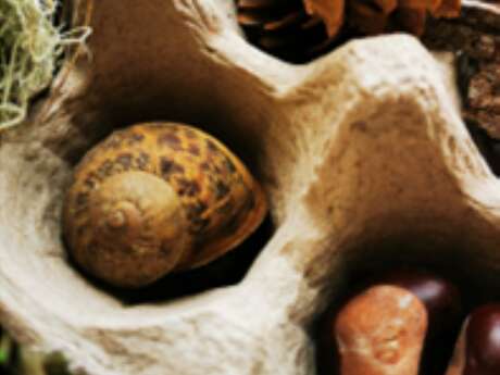 Atelier BINGO DE LA NATURE