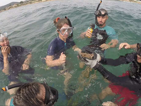 Randonnée subaquatique - Esterel Sea School