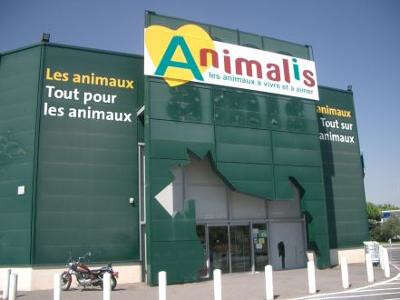 Mille Amis