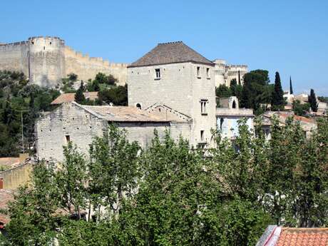 Il était une fois Villeneuve lez Avignon : les Palais Cardinalices, splendeur et secrets