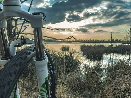 Vélo village : 7ème Édition