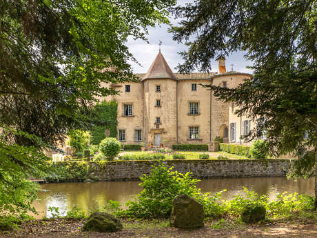 Château des Martinanches