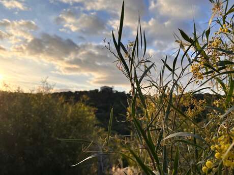 Walk around FONCIN with Mélanie ROBEAU