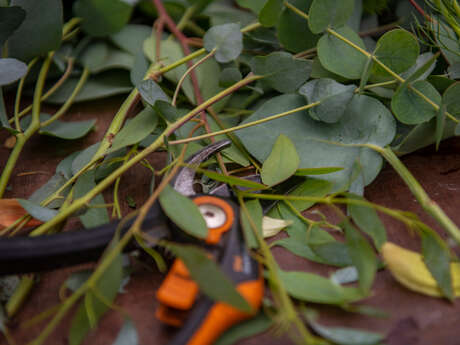 Atelier pratique : apprendre à faire des boutures