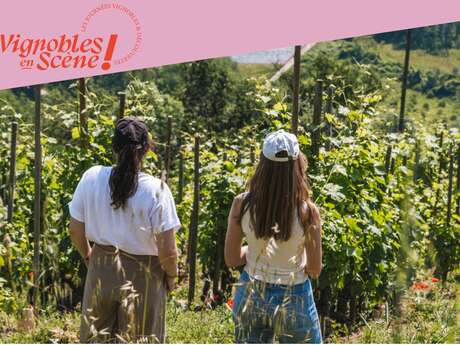 Rando Wine au Domaine de Pimotin