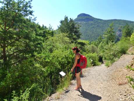 Sentier botanique du Belleric