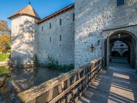 Castle of Saint Michel d'Avully