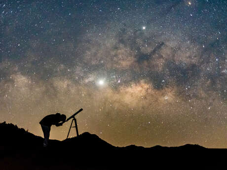 La Grande nuit des étoiles