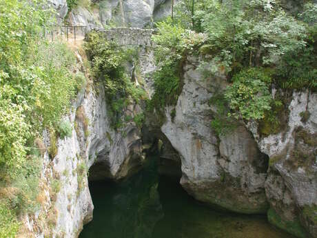 Le Pont Saint Martin