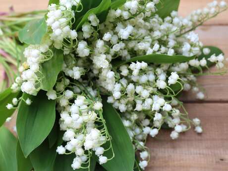 Vente de muguet et de bugnes pour le 1er mai