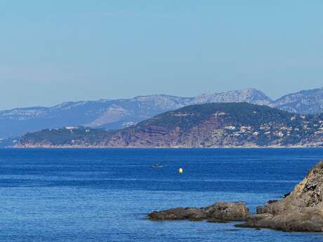 Faune, flore et géologie : le Cap Garonne dans tous ses états