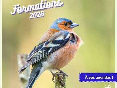 Formation oiseaux des jardins - Parc ornithologique du Pont de Gau