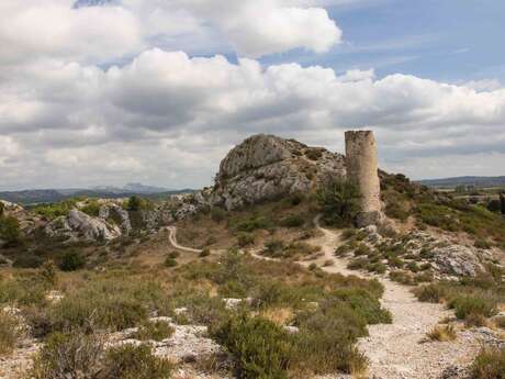 LE PARADOU - The Castillon Towers