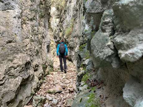 BÉDOIN - Combe de Curnier