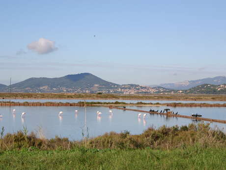 Presqu'île de Giens