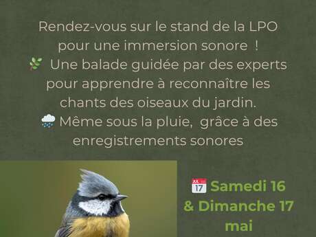 A la recherche des chants d'oiseaux