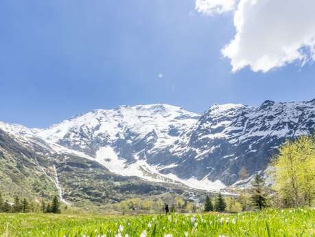 Rando Conférence : Histoire et Patrimoine du Vallon de Miage - Festival de Film Nature