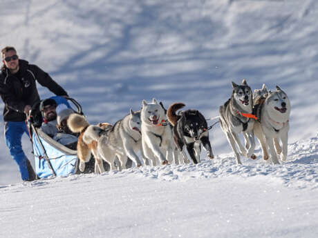 Chalet des Sibériens - Balade 1/2 journée chiens de traineaux (hiver)