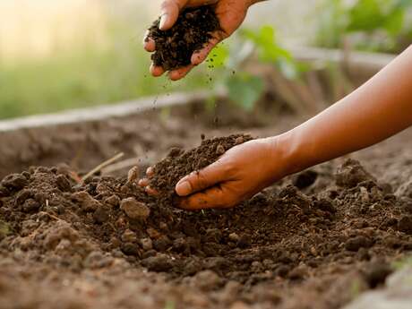 Umweltkonferenz: "Die wertvolle und ungeahnte Rolle der Kompostierung angesichts der globalen Erwärmung ".