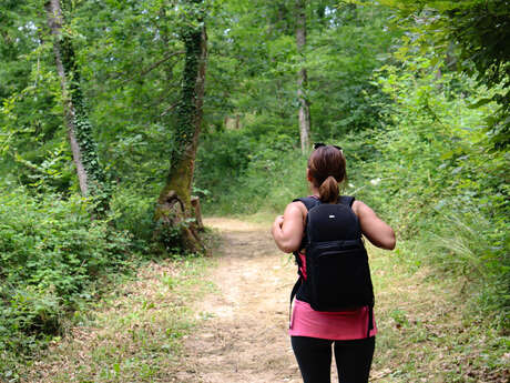 En balade à Champos et au bois de Sizay