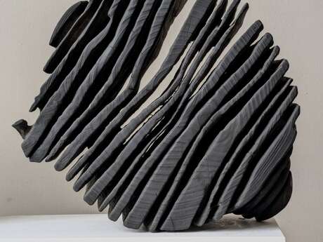 Exposition "Quand le flou rencontre la ligne"