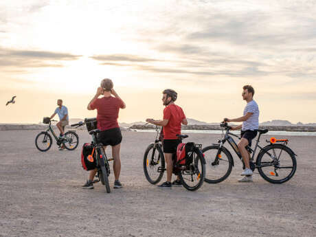 Marseille : visite touristique en E-Bike 2,5 heures