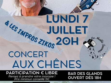 Concert de Berkeley Wright et les Impros Zikos