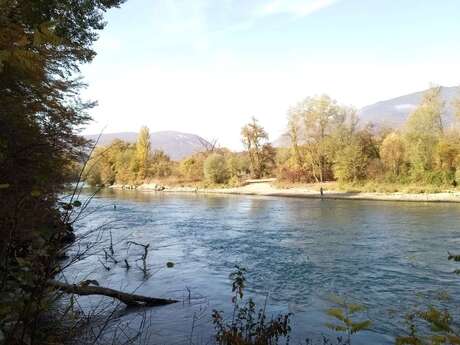 Pêche dans le Rhône