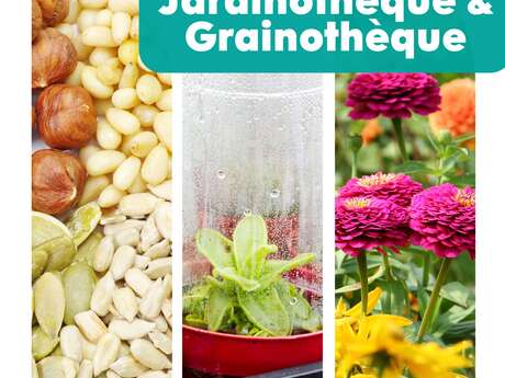 Jardinothèque & Grainothèque