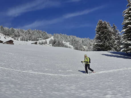 Les balcons sud de Bisanne