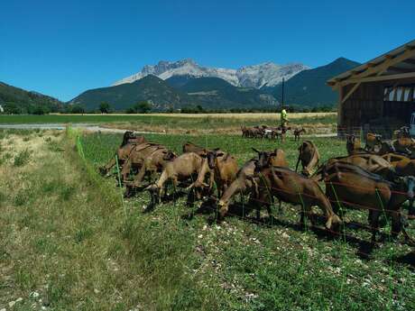 La Ferme de Meyssirat