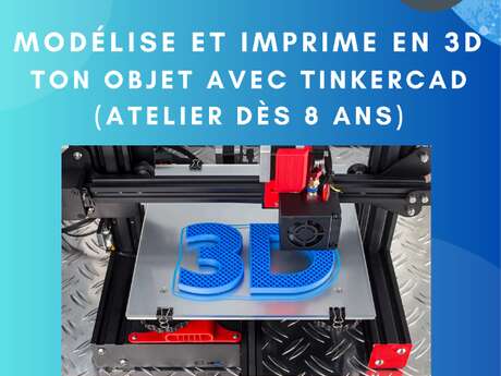 Atelier 3D : réalise et imprime ton objet 3D avec Tinkercad