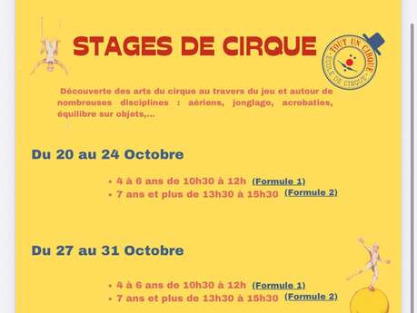 Stage de cirque avec Tout un Cirque