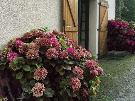 Gîte de Serrelongue