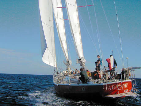 1/2-Tages-Ausflug auf einem Segelboot