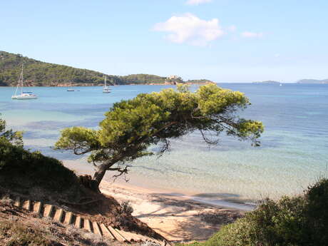 Navettes vers l'Île de Porquerolles - Vedettes Îles d'Or et Le Corsaire