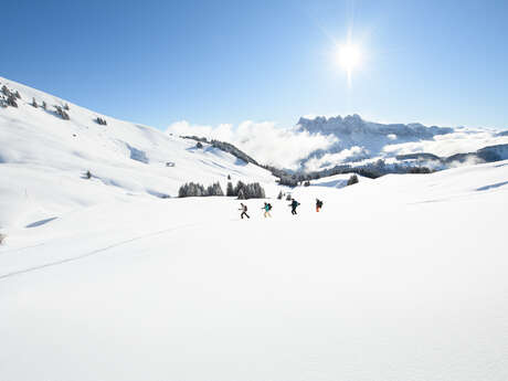 'Bellevue' Red Trail / Rando Parc Morgins