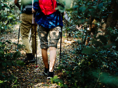 Randonnée botanique