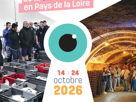 Visit our companies #11