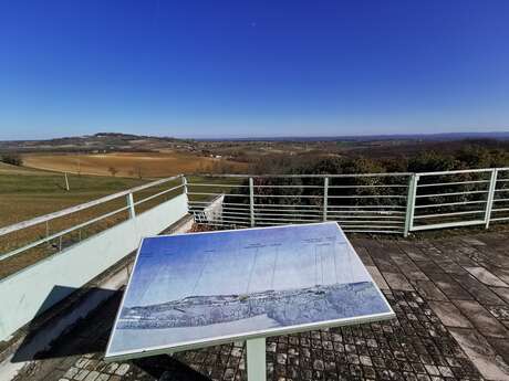 Auty viewpoint