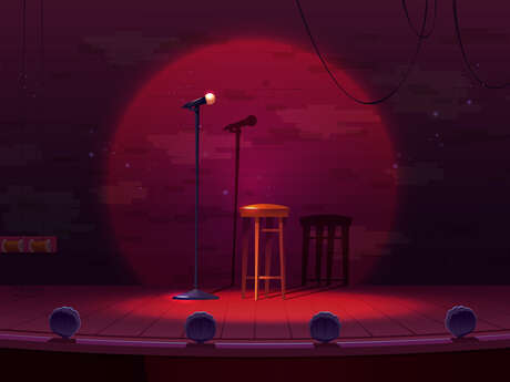 Stand up "1 heure pour comprendre son ado"