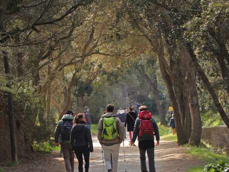 Point Rencontre : La Biodiversité qui se cuisine - Ile de Porquerolles