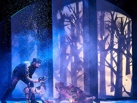 Laïka, Compagnie Xirriquiteulateatre