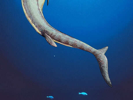 Mosasaures, quand les lézards régnaient sur les mers