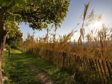 Balade nature