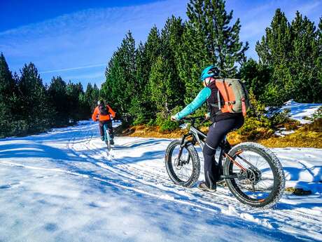 VTT à assistance électrique avec Le Petit Plateau