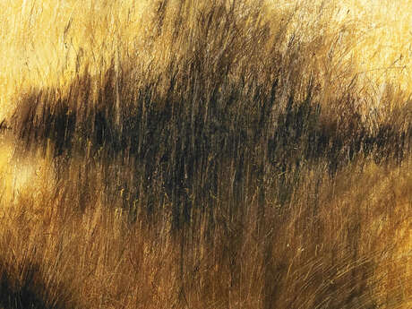 '' LUMIÈRES'' Jean-Claude Piriou