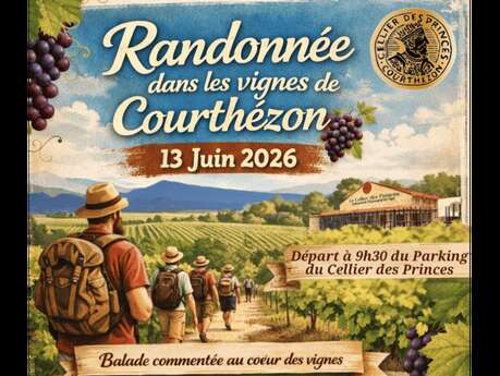 Randonnée dans les vignes de Courthézon