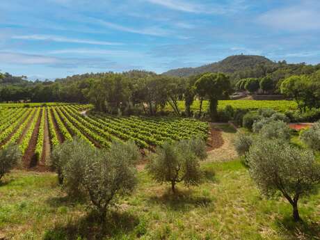Domaine Fontainebleau en Provence